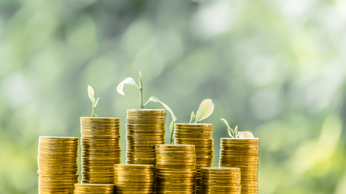 Green project bonds set to rise as investors crave transparency