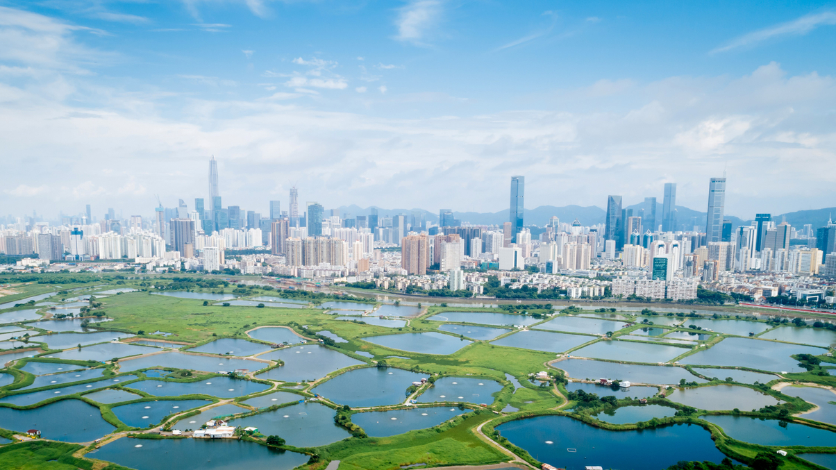 Asian family offices flock to GBA fund for targeted growth plays