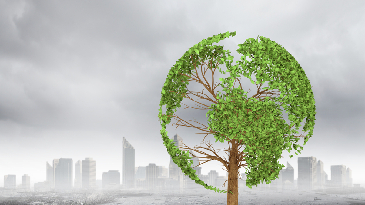 China’s top asset managers fall short on climate risk disclosure: Greenpeace