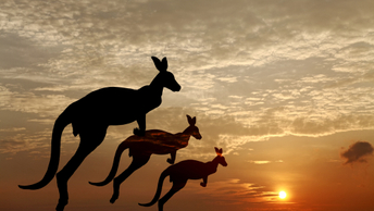 AustralianSuper accelerates growth with triple investment strategy