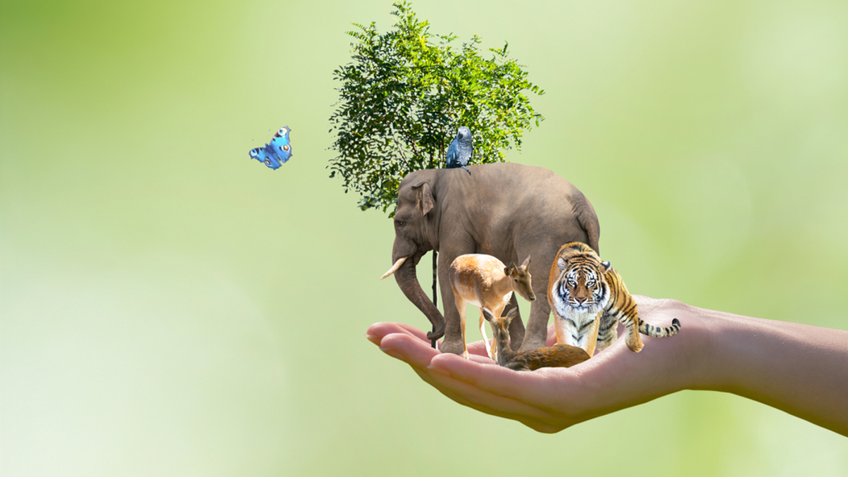 Asian ESG investments ramps up but lags in biodiversity, says survey