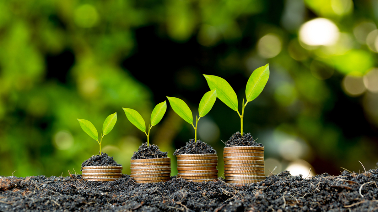 Chinese insurers prioritise ESG-compliant investments over the next two years: survey