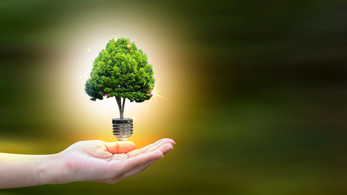 Tsangs Group makes sustainable clean tech its focus for 2022