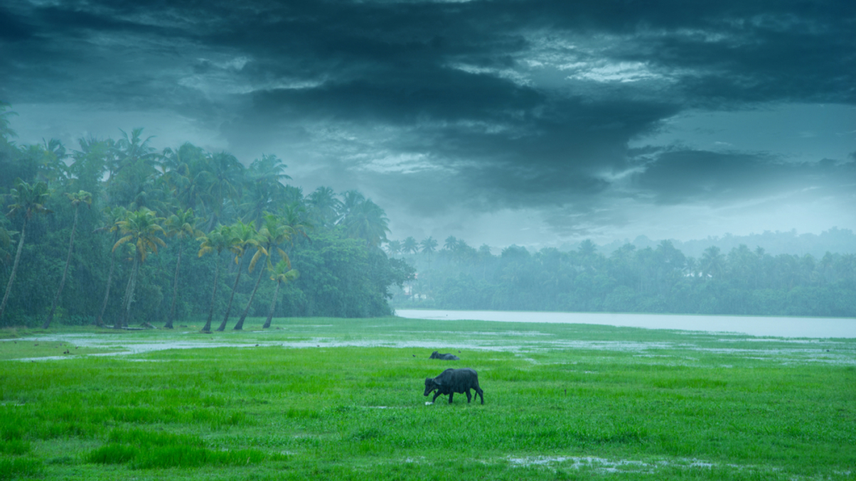 Insurers identify key factors to watch while investing in India in H2