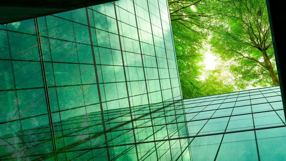 Pivoting from green labels to transition finance