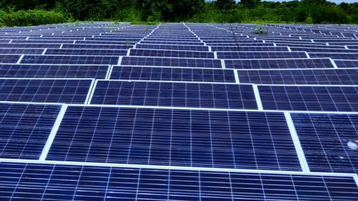 India pension chief says industry in hunt for net-zero investments