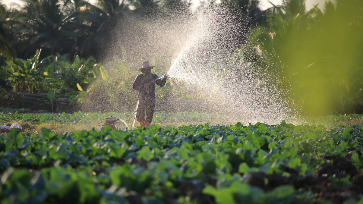Temasek: Asia 'behind the curve' on agri-food decarbonisation