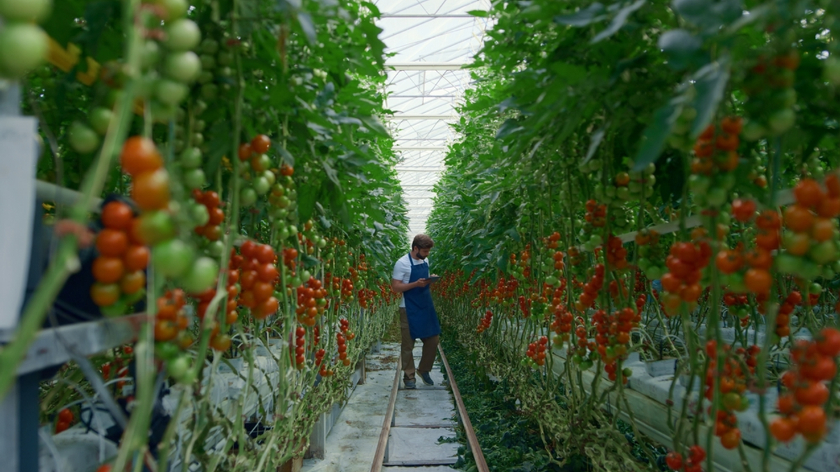 Genting Group family office reveals agri-food, healthcare bets
