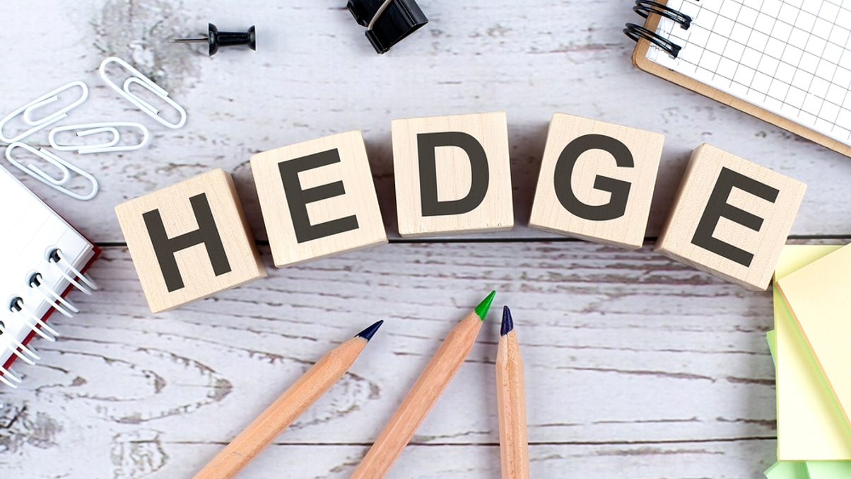 How India's Thermax family office leverages hedge funds