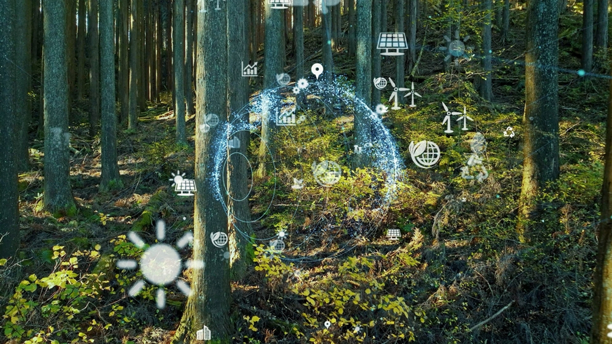 Australian super funds slow to take on forestry investments