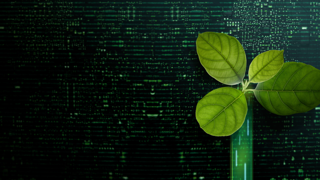 Climate metrics: a primer for investors