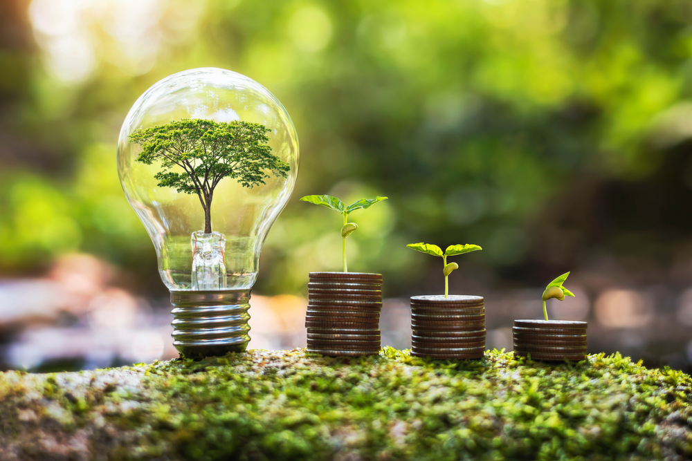 HK, SG family offices push for more impact investing in home markets | Alternatives - Vimarsana News
