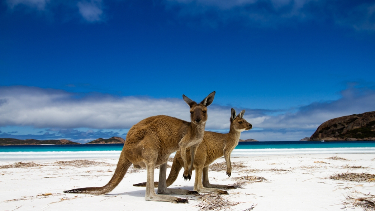 Future Fund trimming costs after capability build-out