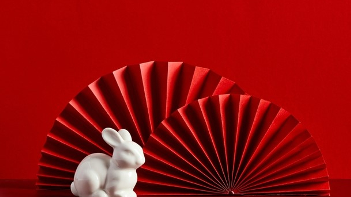 Five asset owner trends that shaped the Year of the Rabbit