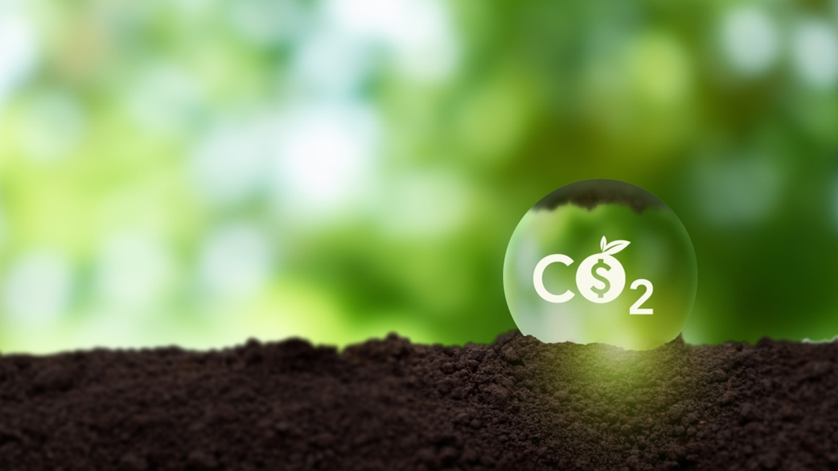 Temasek sees carbon markets as critical to lowering climate action costs