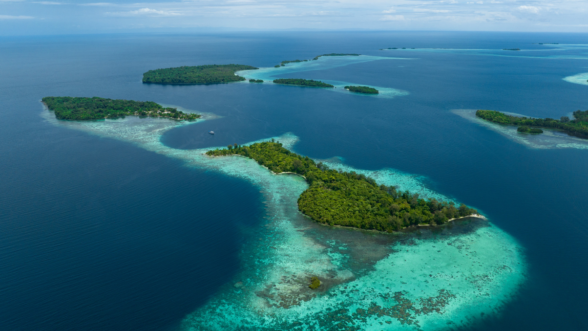 Asset owners underinvested in marine conservation projects
