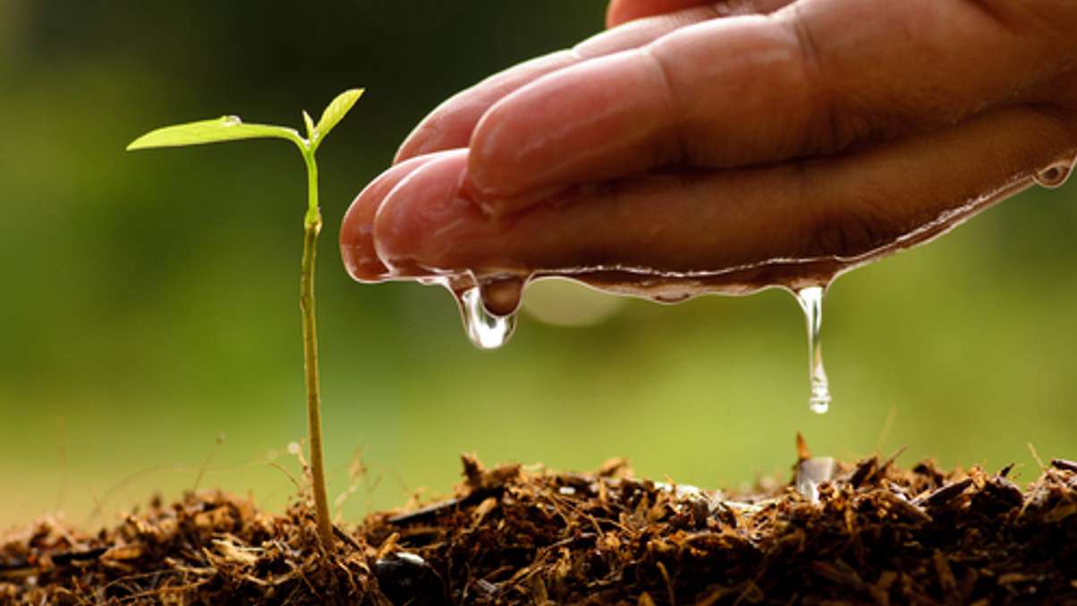 How insurers think ESG investing could be improved