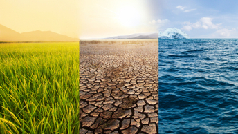 Family offices intensify impact bets on food security and water