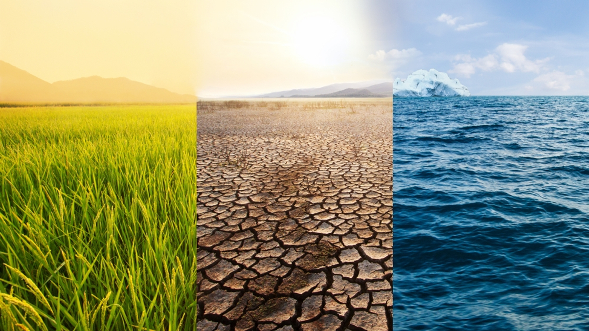 Family offices intensify impact bets on food security and water