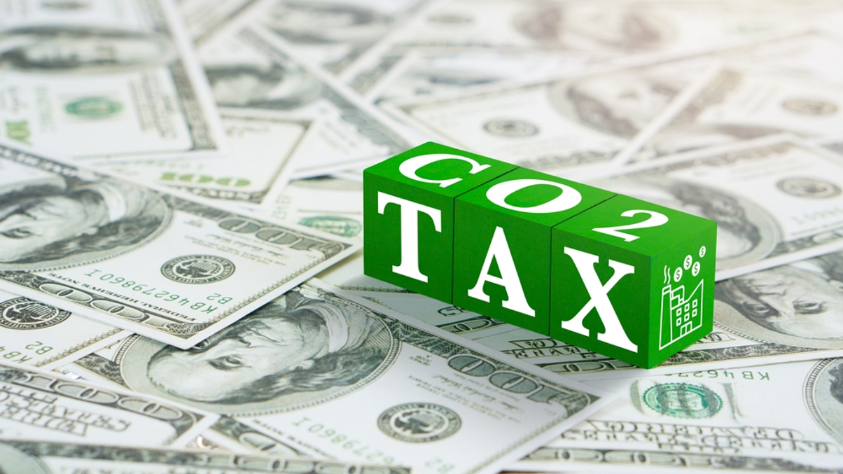 Asset owners urged to push for broader carbon markets