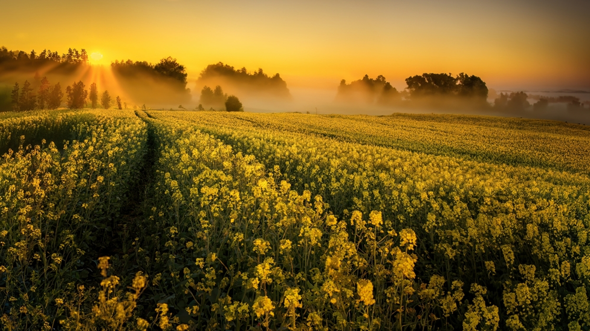 Will rising institutional ownership of Australian farmland help sustainability?