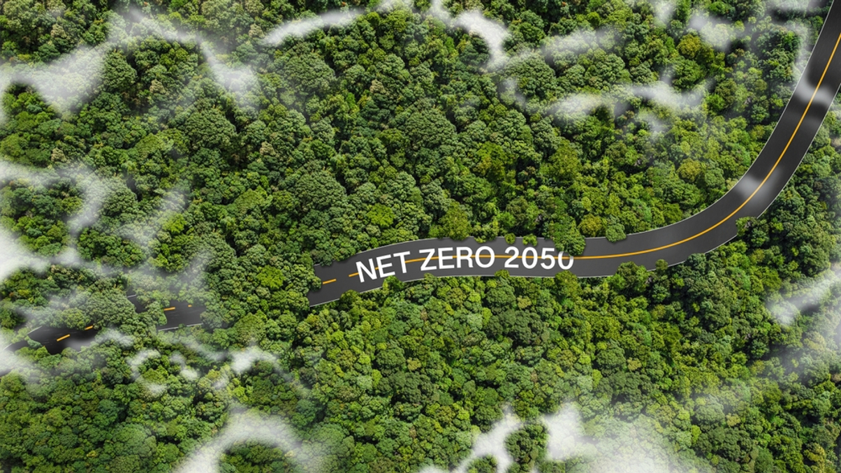 Institutional investors struggle with data gaps on net zero reporting
