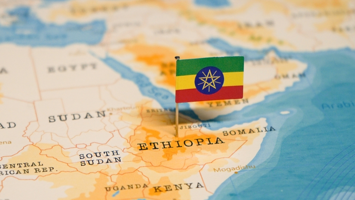 Ethiopia SWF eyes asset growth via sovereign stake sales