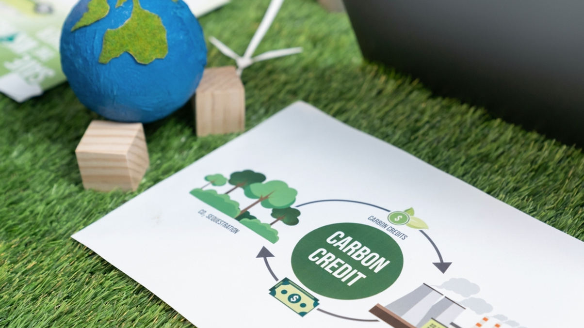 Temasek's GenZero: Carbon finance's big opportunity for EMs