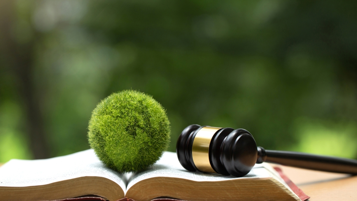 Asset owners adjust to new sustainability reporting rules