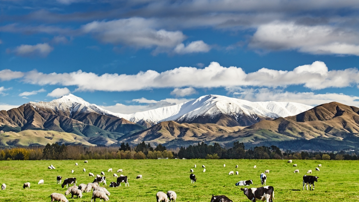 NZ Super adopts sustainable growth focus for equities