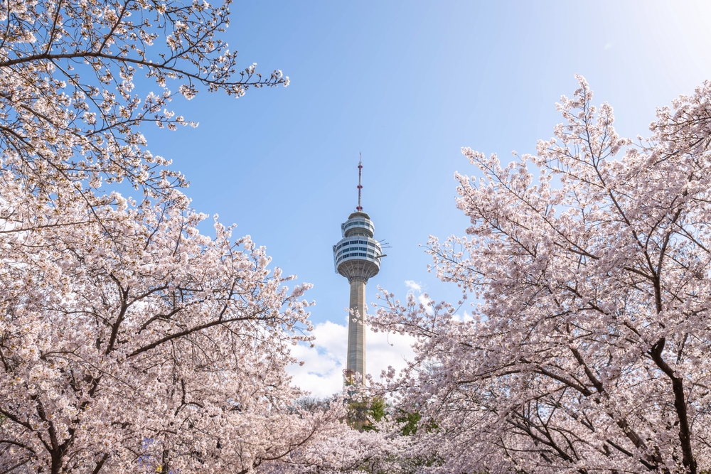 State Street renews NPS partnership as Korea pensions embrace TPA