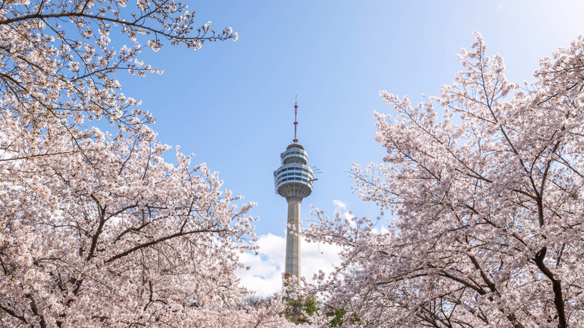 State Street renews NPS partnership as Korea pensions embrace TPA