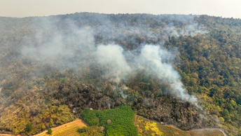 ADB aims to launch $12bn climate finance platform at COP 29