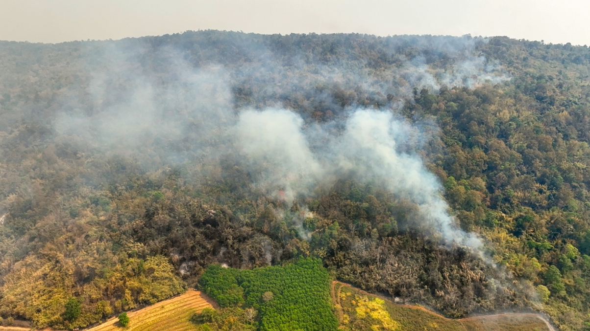 ADB aims to launch $12bn climate finance platform at COP 29