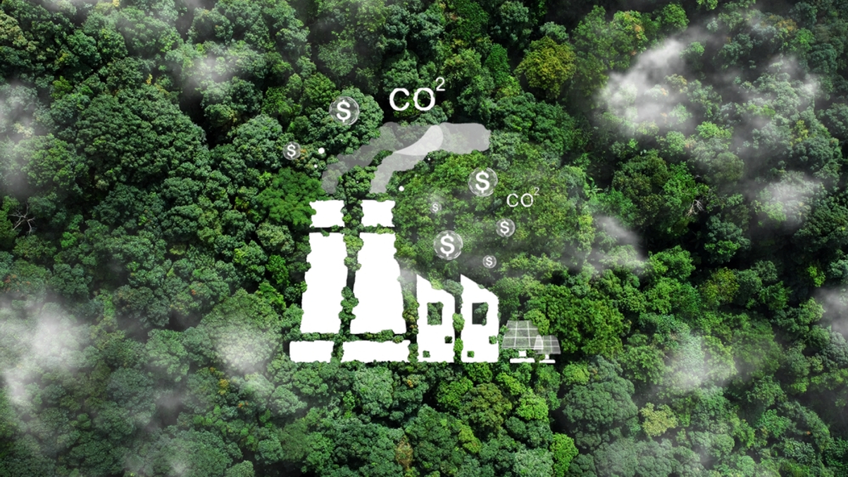 Carbon credit labelling gains momentum as ICVCM targets trust rebuild