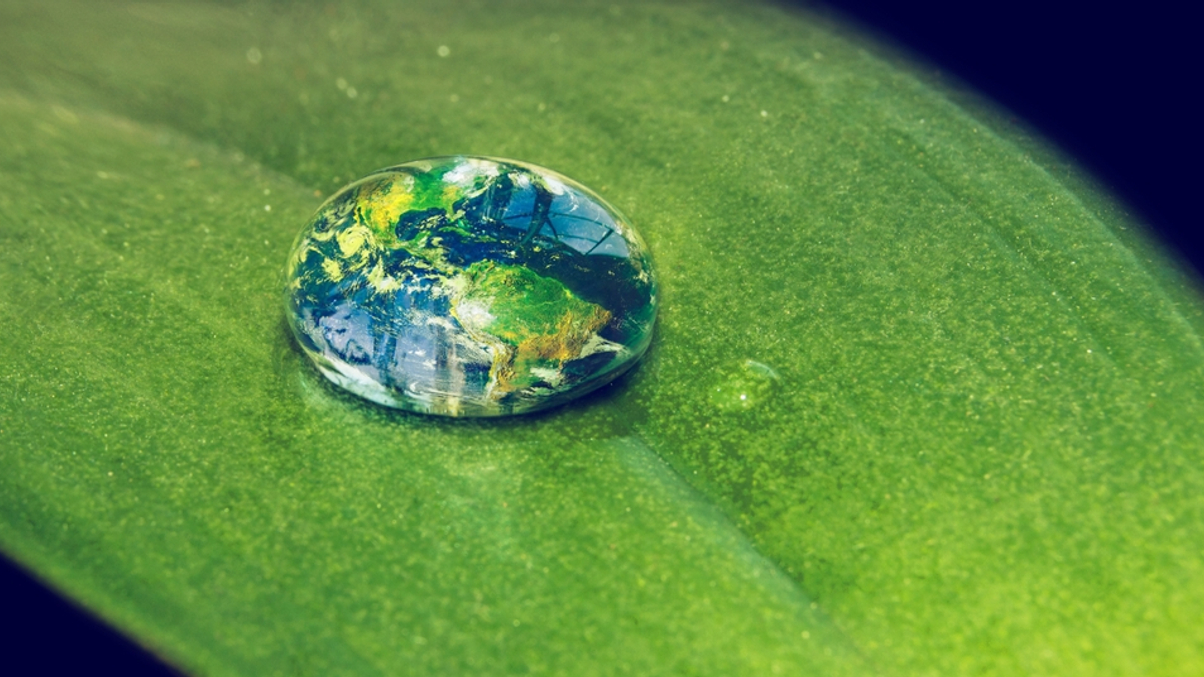 Rockefeller Foundation bets big on climate initiatives