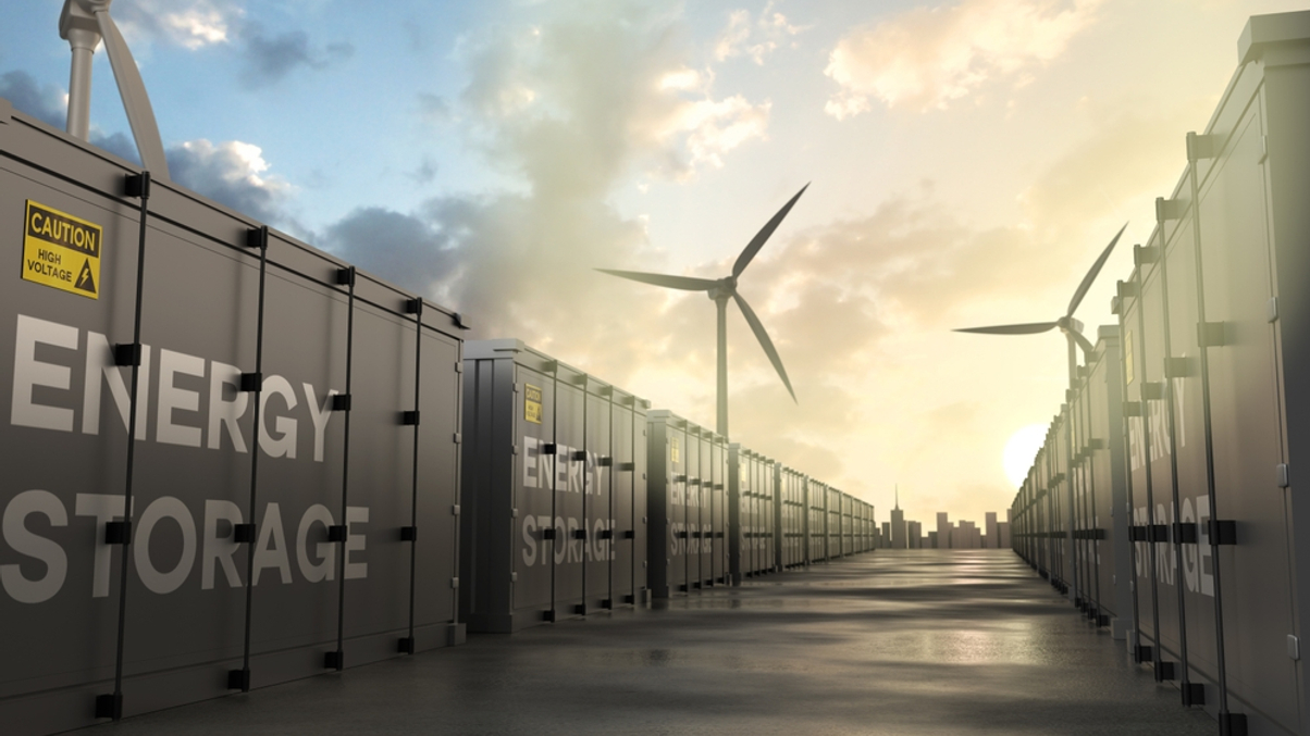 Global asset owners eye next big thing in net zero: energy storage