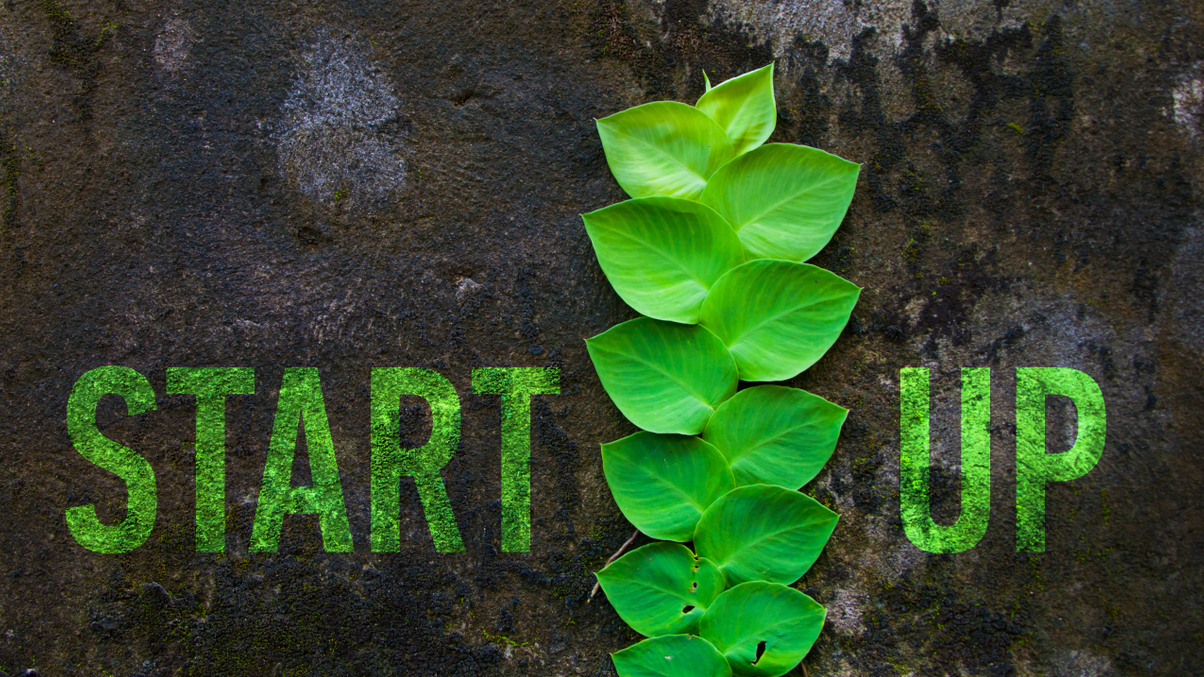 How Temasek and BlackRock are using VC for sustainability