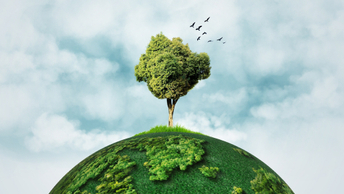 Temasek sees climate resilience driving capital’s next decade