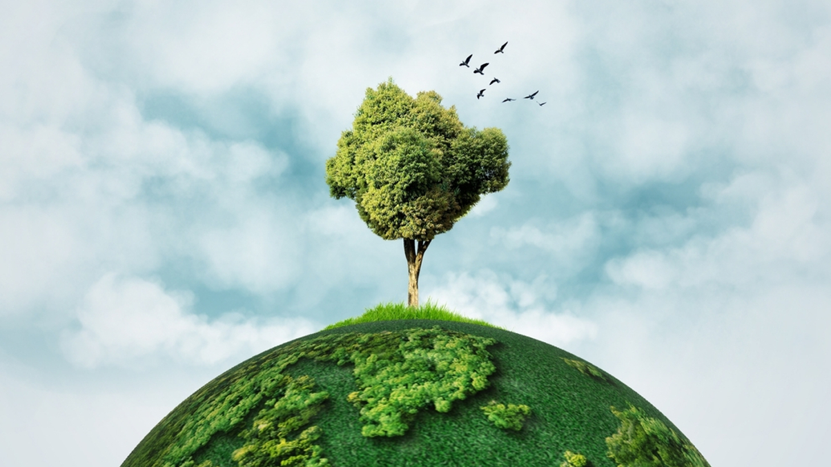 Temasek sees climate resilience driving capital’s next decade