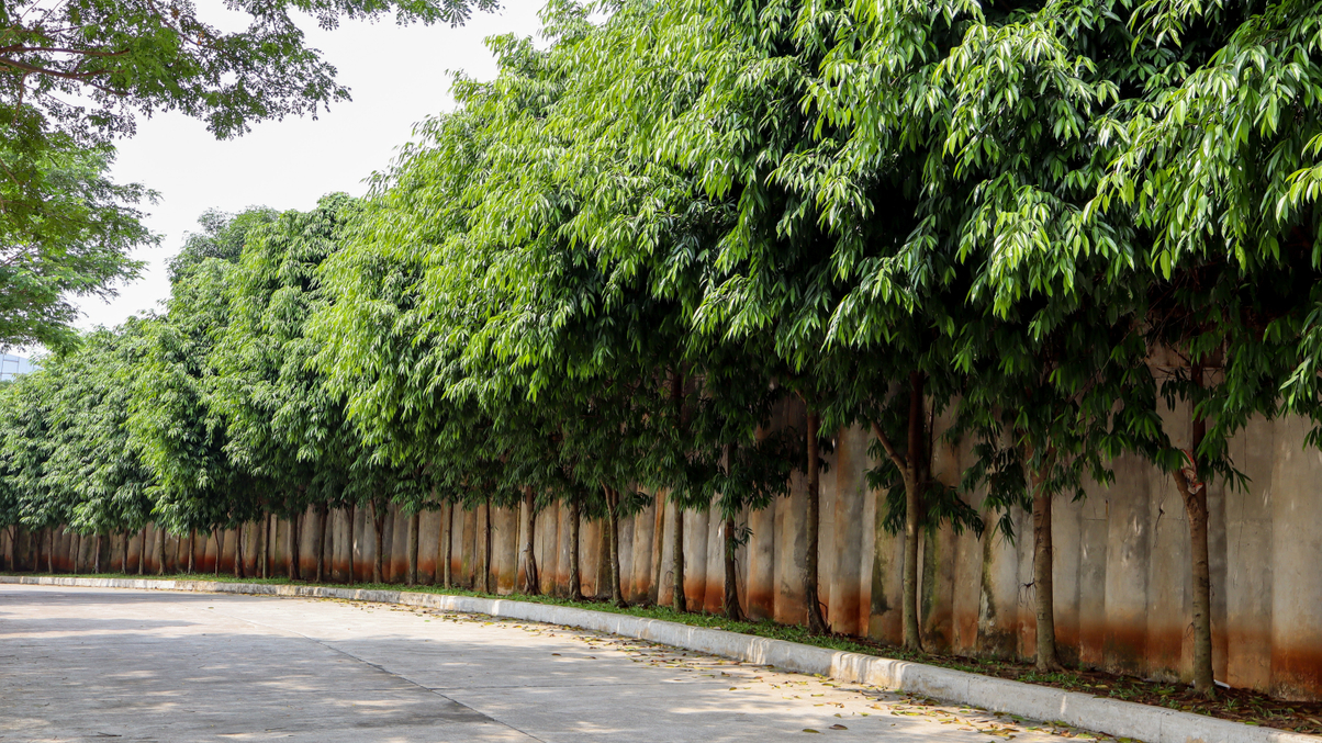 Asian institutions urged to move beyond picking green assets for impact