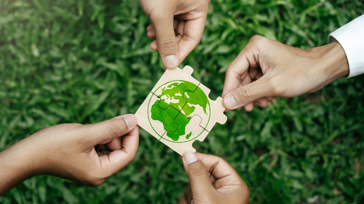 IFC targets sustainability in search for co-investors