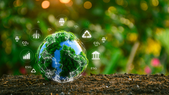 Norway SWF leads on nature disclosure framework