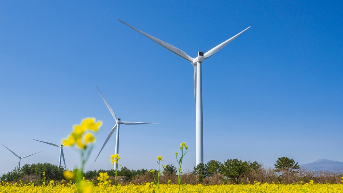 Norway’s climate fund targets Asia investments