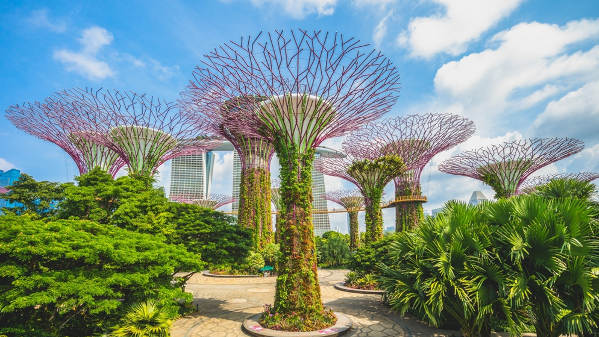 Family offices gain new investment pathway with Singapore's equity initiative