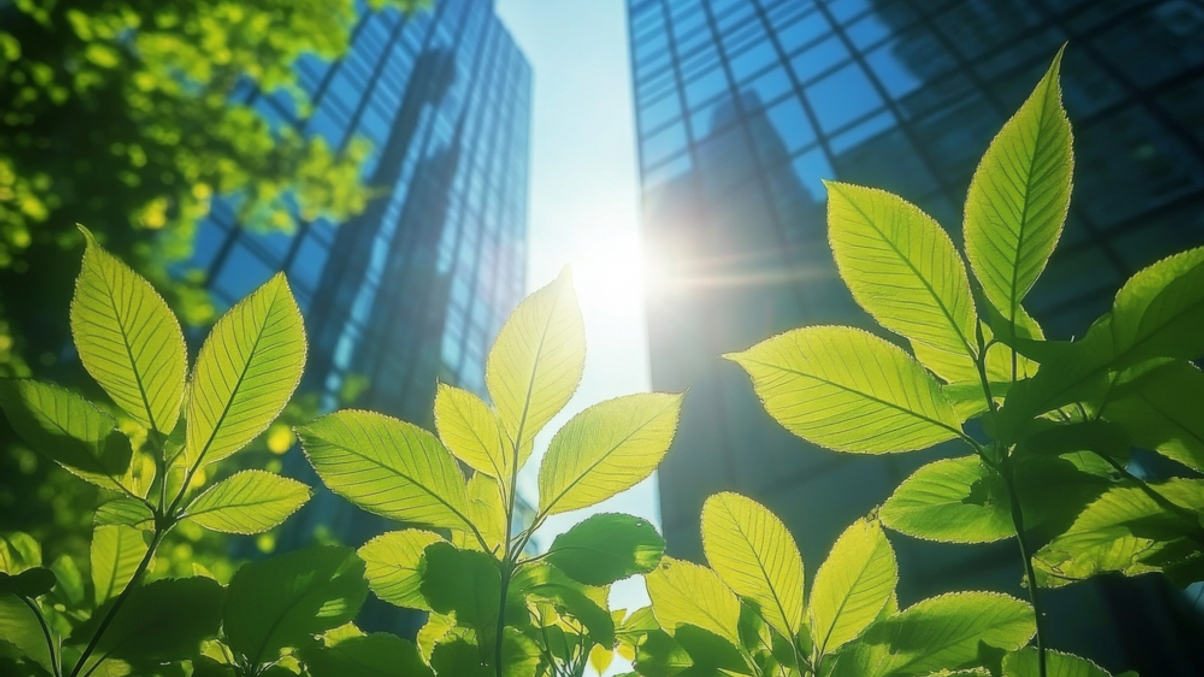 Asset owners push for standardised ESG reporting in private markets
