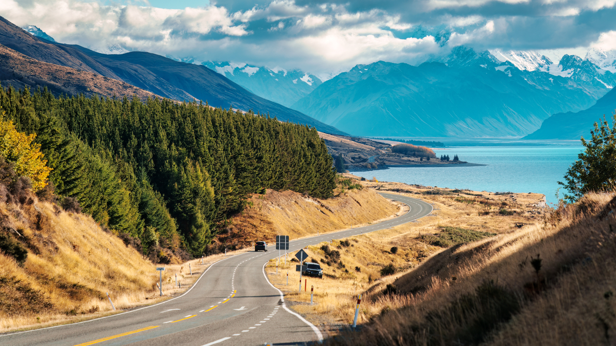 APG advances APAC natural capital footprint with NZ forestry deal
