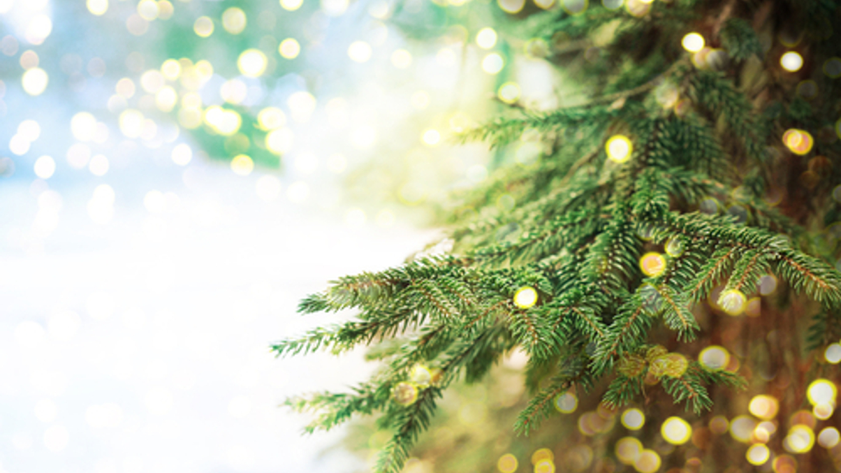 <i>AsianInvestor</i> takes a break for Christmas and New Year