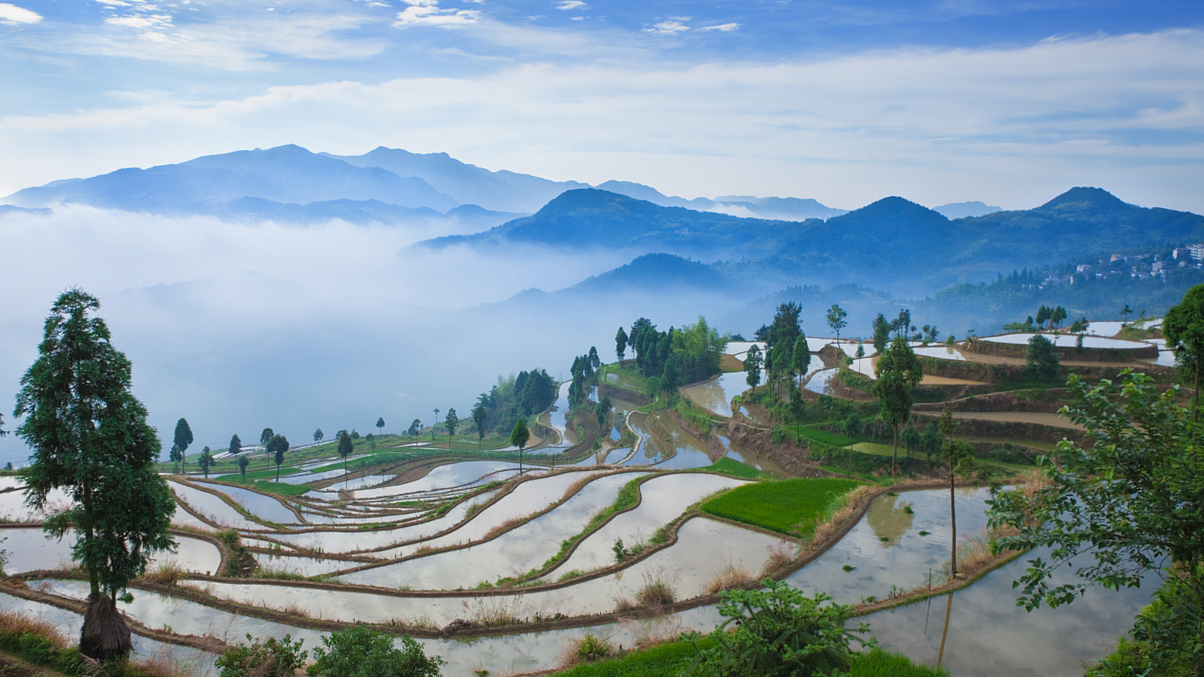 Philippines' SWF eyes agriculture deals and power grid push for 2026