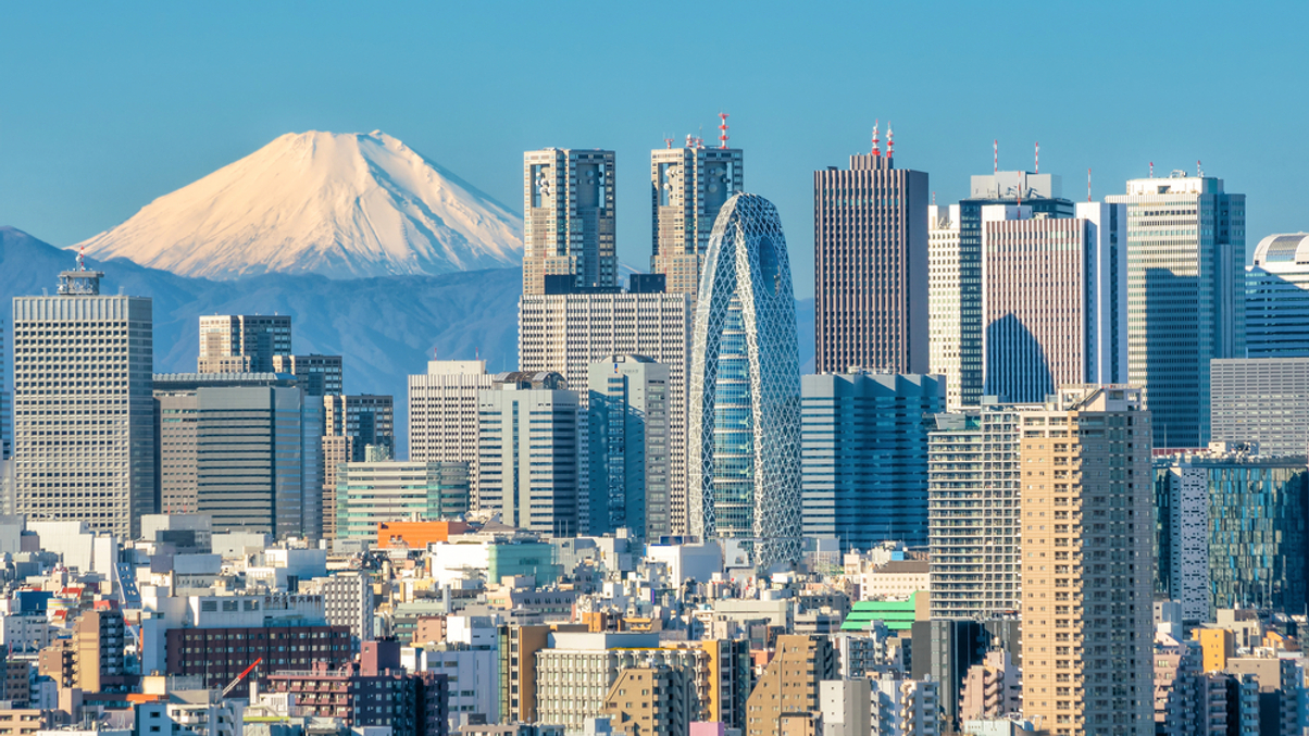 Japanese life insurers need to rethink equity assets under new regime
